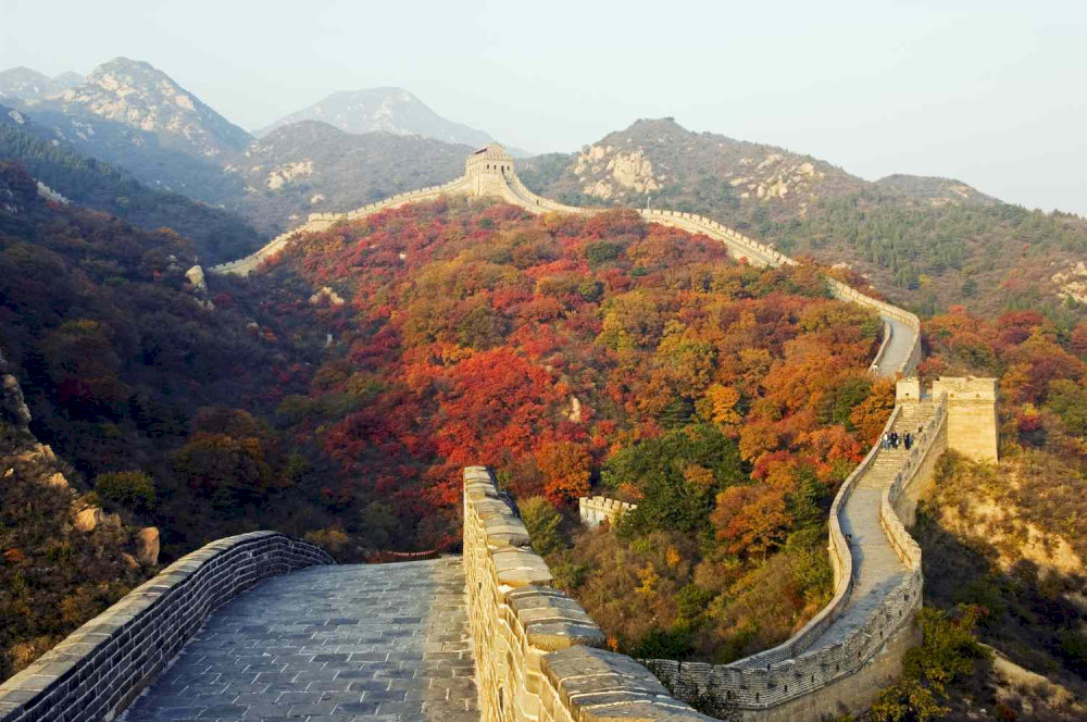 The fall season in Xi’an with the beautiful landscape of golden leaves